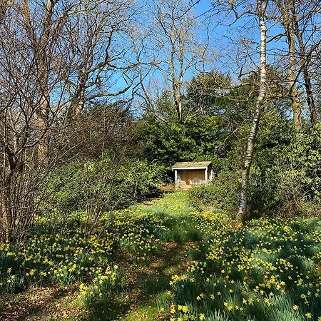 Eller How House - Private Regency Property & Lake Lindale Exterior photo
